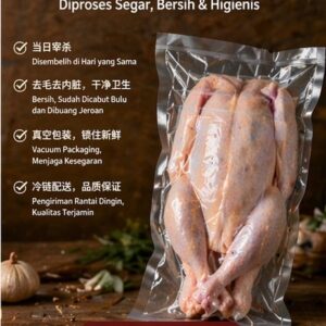 鸡 | Ayam