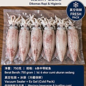 新鲜鱿鱼 | Fresh Squid