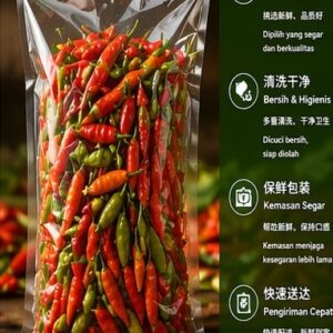 辣椒 | Cabe Rawit
