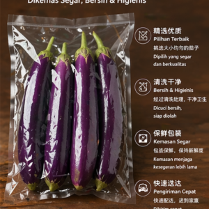 紫茄子 | Terong Ungu